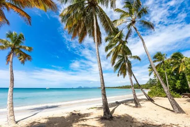 Appartement Anais Location Le Soleil Couchant Le Gosier  Guadeloupe