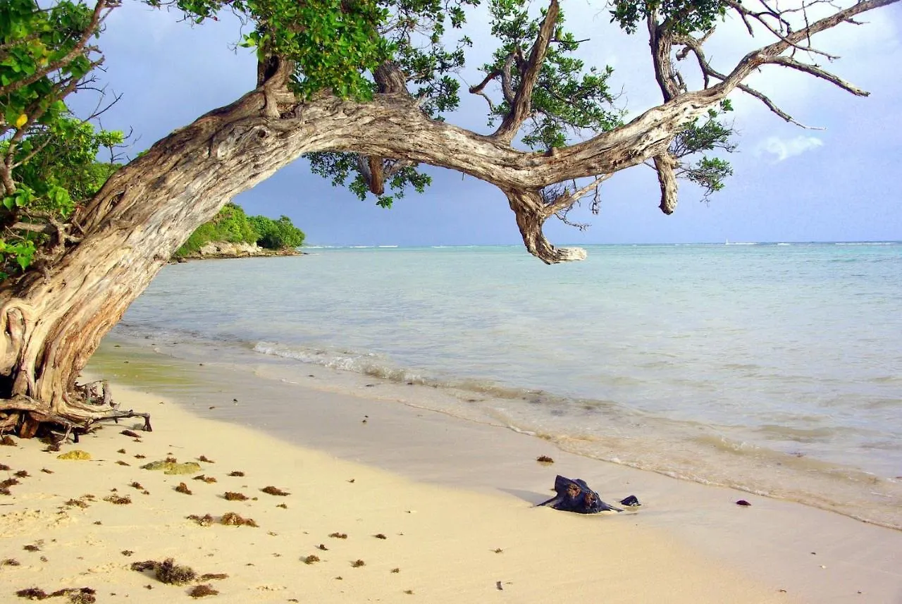 Anais Location Le Soleil Couchant Le Gosier  0*, Le Gosier (Grande-Terre) Guadeloupe