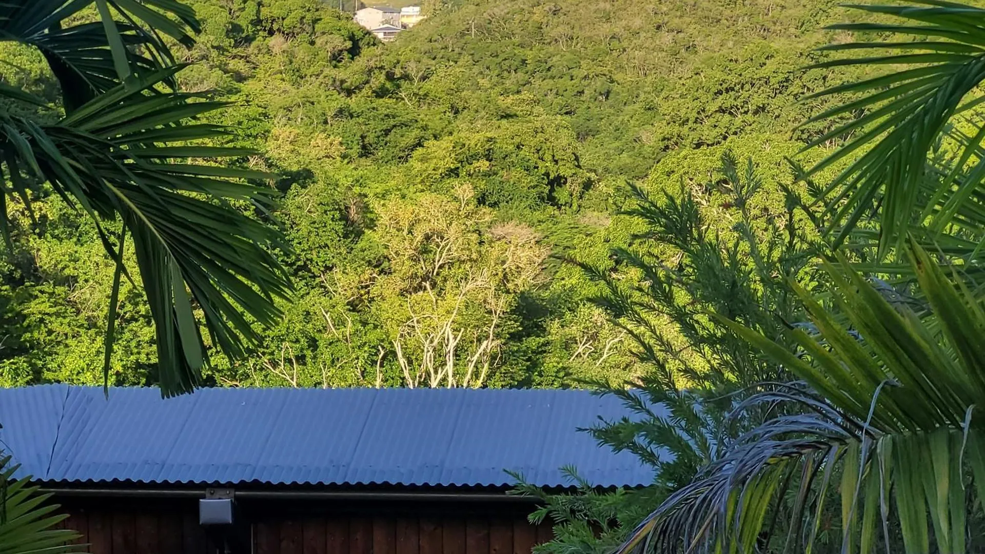 Anais Location Le Soleil Couchant Le Gosier  Guadeloupe